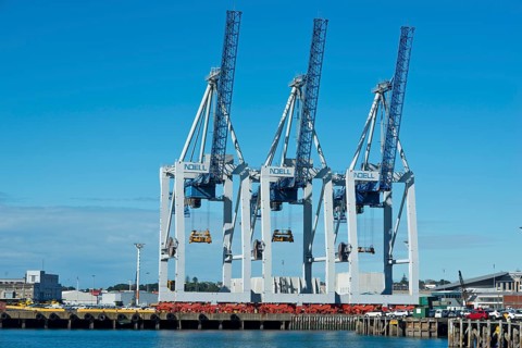 Loading cranes in the port of Auckland seen from the Central Business District