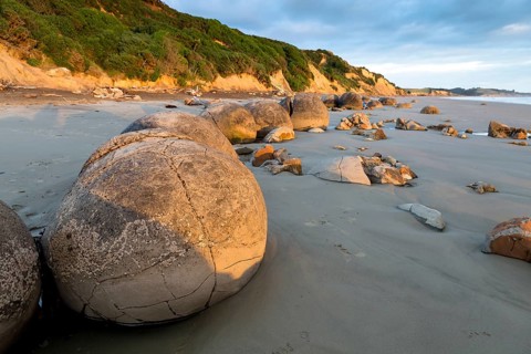 Moeraki Boulders in the morning light