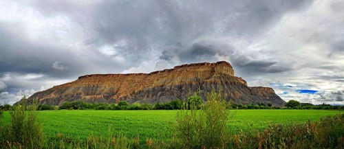Green fertile valley with the South Caineville Mesa after a thunderstorm