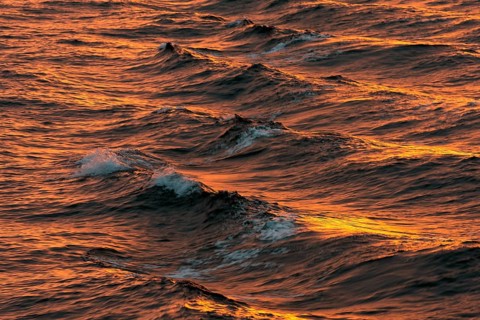 Bow waves in the evening light