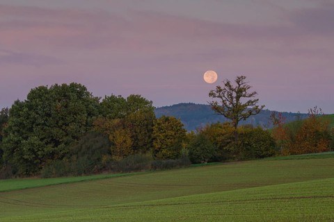 Landscape with setting moon