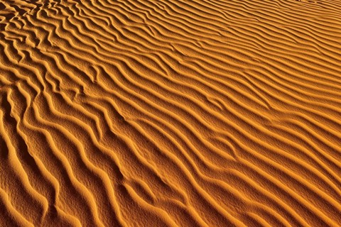 Sand ripples