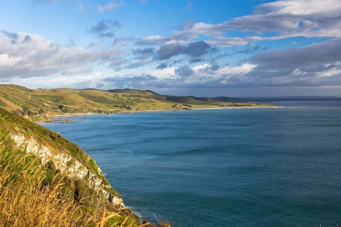 The Catlins in the morning light