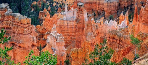 View from Rim Trail into the Queens Garden of Bryce Canyon