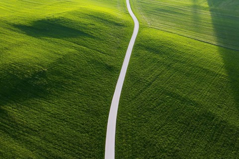Road through meadow in the morning light