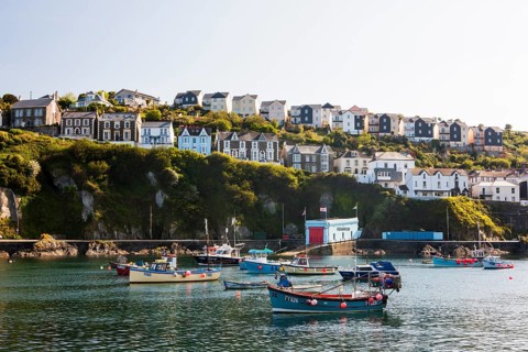 Harbour with fishing boats