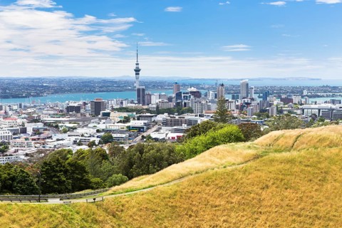 View from Mount Eden