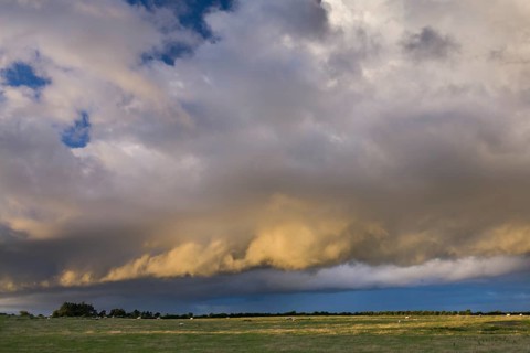 Dramatic clouds over a sheep pasture