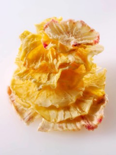 Dried root of Yacon (Smallanthus sonchifolius