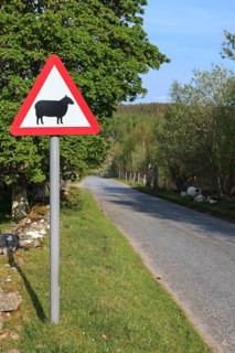Street sign