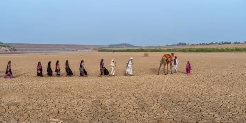 Rabari tribe people walking in the desert with a dromedary
