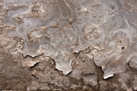 Texture