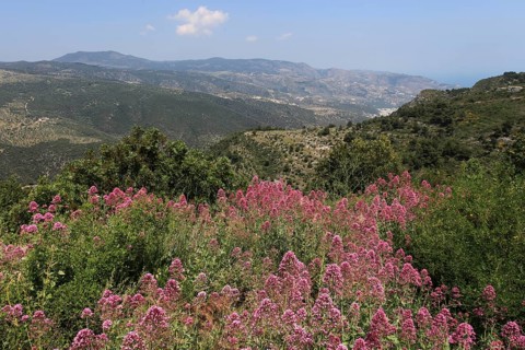 View from Monte Sant'Angelo