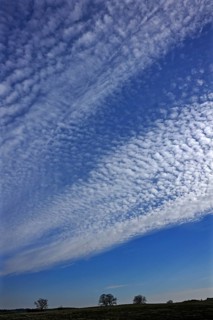 Fluffy clouds or cirrocumulus clouds