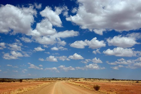 Track in a desert landscape