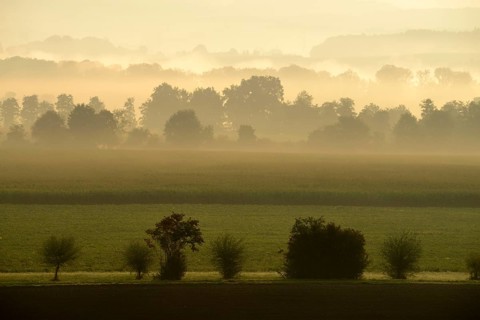 Morning fog atmosphere in Reuss Valley