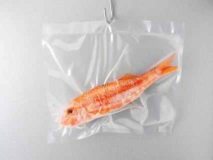 Fish in a vacuum bag