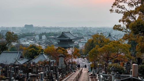 City view with temple and cemetery of the cherry blossom