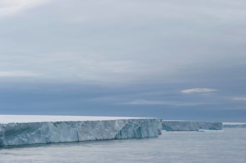 Brasvellbreen
