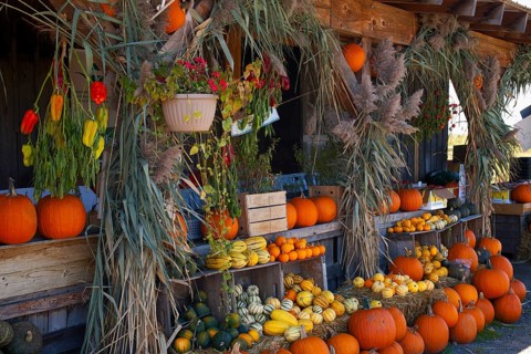 Pumpkins