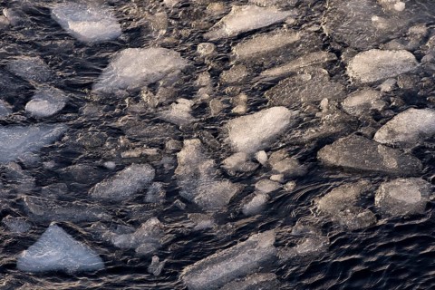 Ice floes
