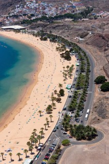The sandy beach of Playa de las Teresitas with palm trees