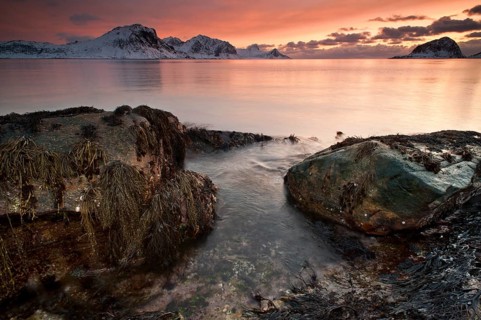 Vikbukta Bay at sunset