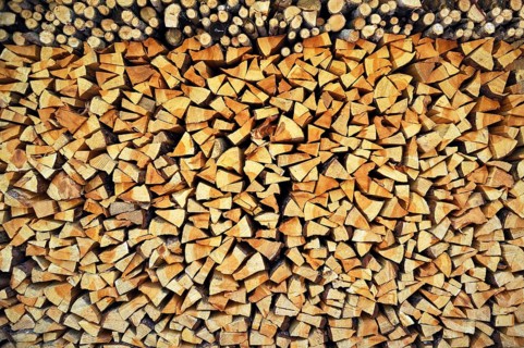 Stacked logs