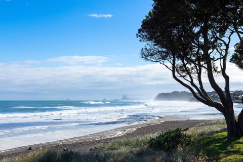 Beach with surf