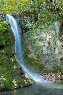 Guetenstein Waterfalls in autumn