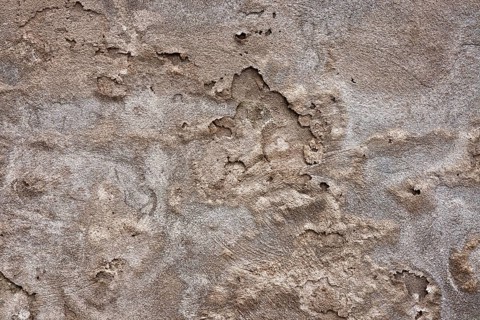 Texture