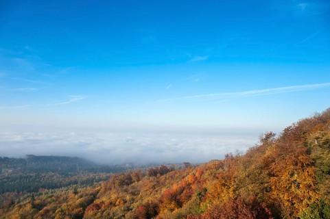 View from Hohenbaden Castle towards the Rhine valley in autumn