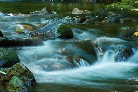 Grobbach creek near Geroldsauer Wasserfall waterfall