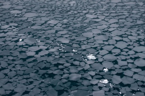 Floes created by slush