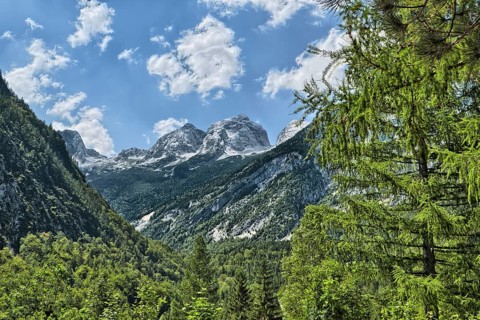 Prisojnik Mountain