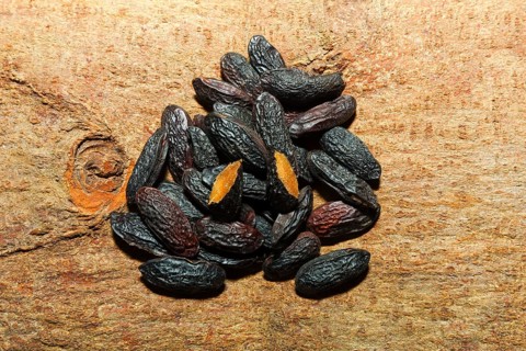 Tonka beans (Dipteryx odorata)