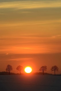 Wintry sunset