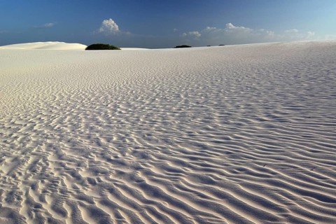 Desert