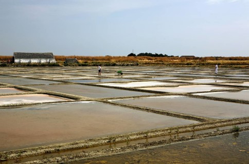 Salt farm