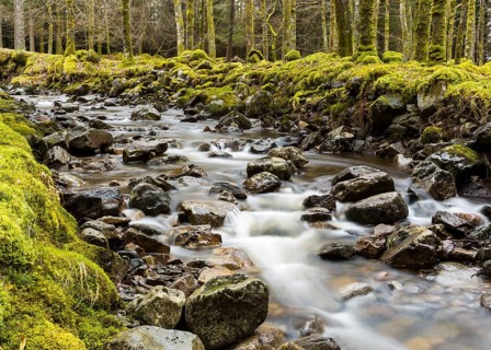 River Ossian