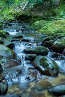 Grobbach creek near Geroldsauer Wasserfall waterfall