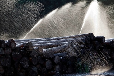 Wet storage