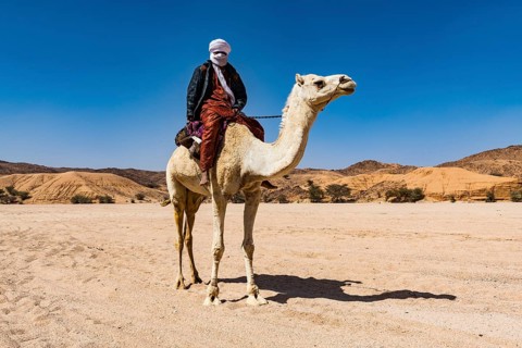 Tuareg riding on his arabian camel