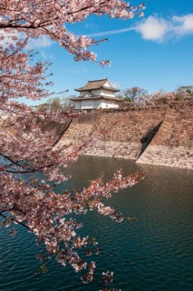 Osaka Castle with moat to the cherry blossom