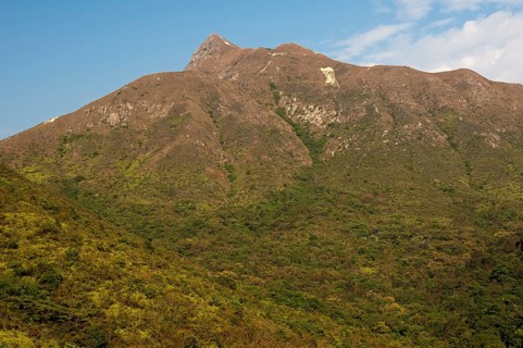 Scrubland with Sharp Peak mountain range