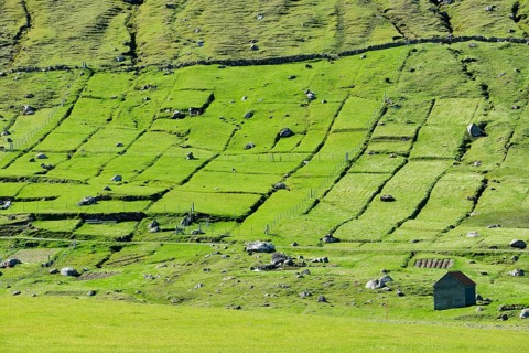 Fields and rocks