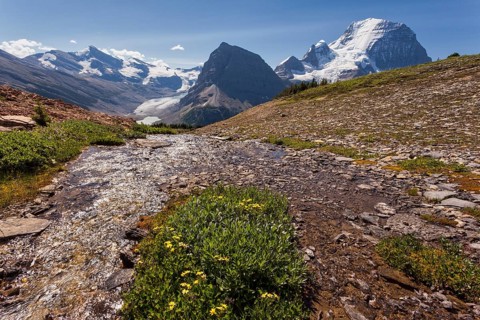 Glacial stream in front of Mount Robson
