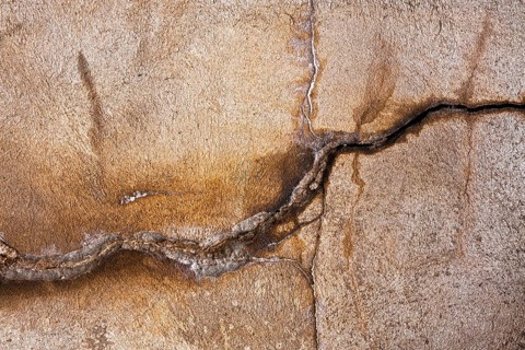 Texture