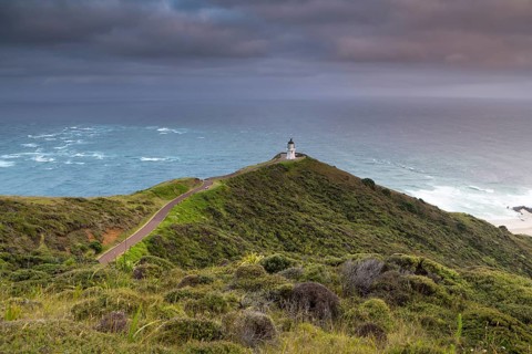 Cape Reinga in the morning