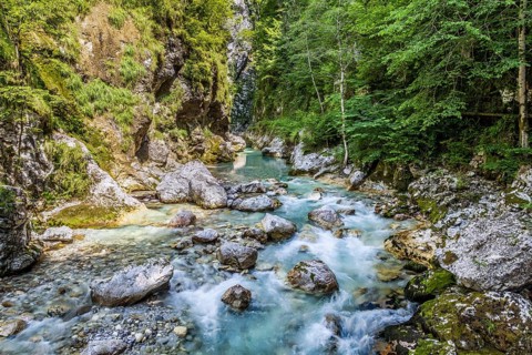 Tolmin Gorge